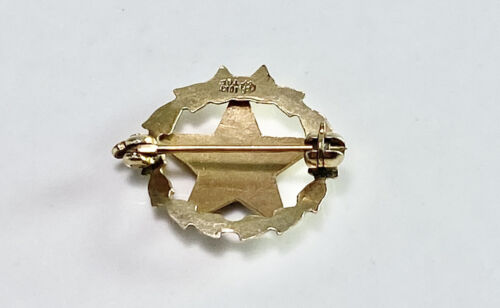 Vintage 10k Yellow Gold Eastern Star Free Mason Enamel Small Pin Brooch