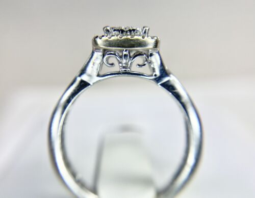 10k White Gold Natural Princess Cut Round Diamond Halo Cluster Engagement Ring